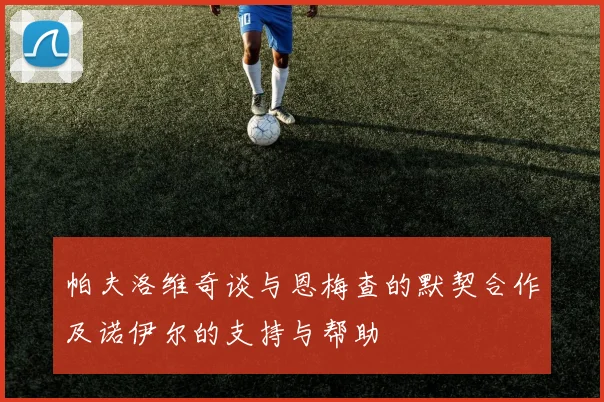 帕夫洛维奇谈与恩梅查的默契合作及诺伊尔的支持与帮助
