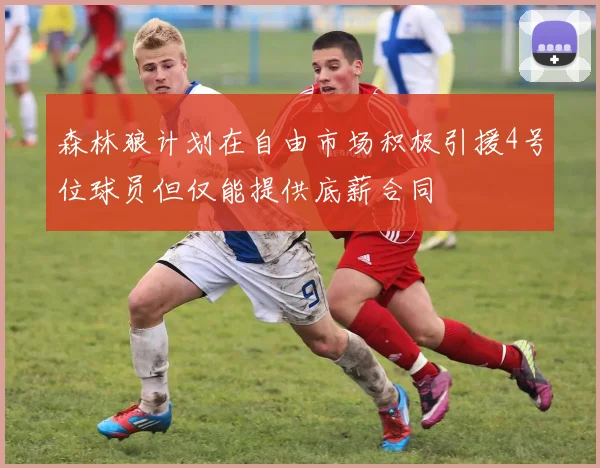 森林狼计划在自由市场积极引援4号位球员但仅能提供底薪合同